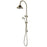 Bordeaux Shower Column Set - Brushed Bronze